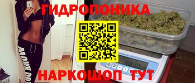 СК Аргун